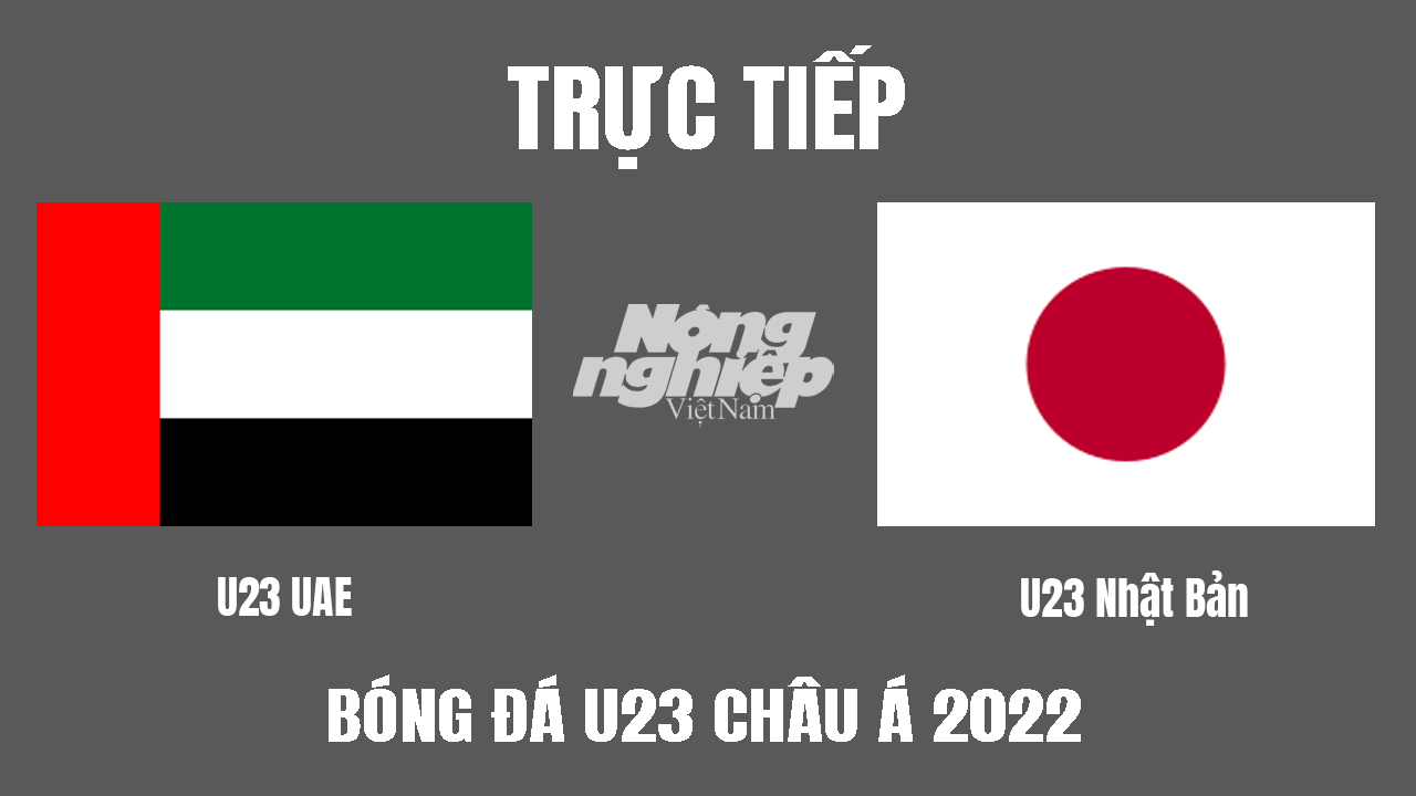 Trực tiếp bóng đá U23 Châu Á 2022 giữa UAE vs Nhật Bản hôm nay 3/6/2022
