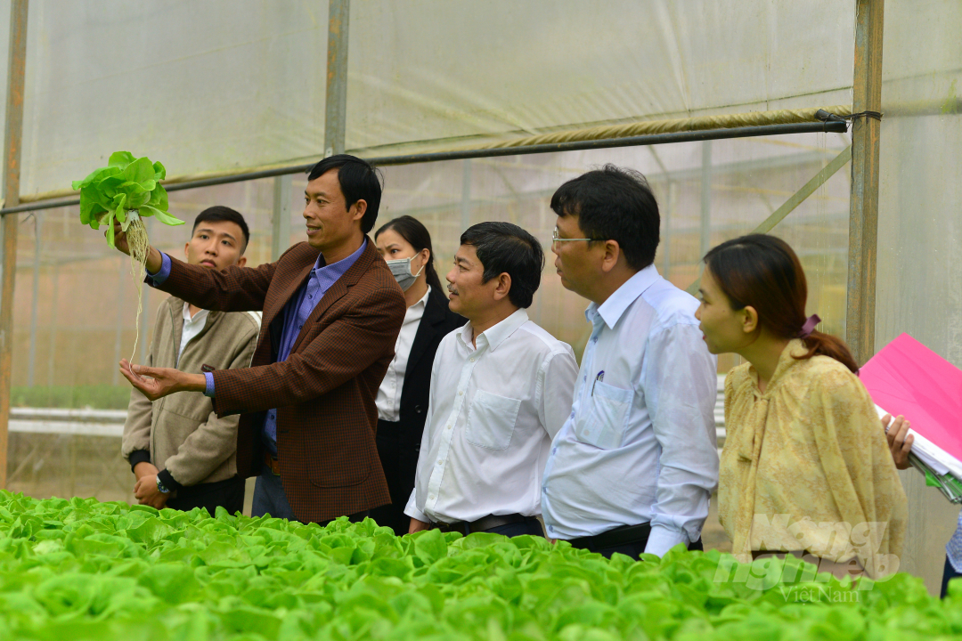 Vietnam SPS Office organized a training session, and visited a model of hydroponic vegetables for export in Truong Phuc Farm Company Limited (Lac Duong district, Lam Dong). Photo: Minh Hau.