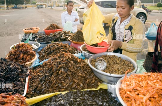 Tại nhiều quốc gia, các loại côn trùng như dế mèn, châu chấu, bọ xít đã trở thành những món ăn đặc sản. Ảnh: Khmer Times