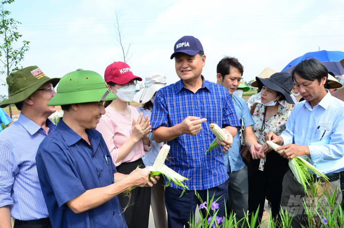 Examination of the seed quality. Photo: Duong Dinh Tuong.