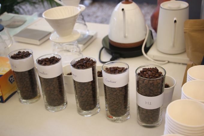 5 mẫu cà phê thu hoạch từ các lô thử nghiệm của dự án trồng cà phê chè arabia do Pháp tài trợ. Ảnh: Linh Linh. 