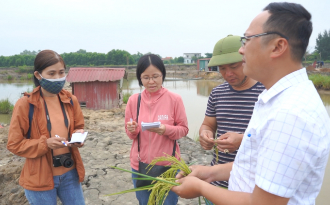 Khi được nhân rộng, mô hình sẽ tạo nên hiệu quả cao trong sản xuất nông nghiệp kết hợp nuôi trồng thủy sản tại Quảng Bình.  Ảnh: T.P