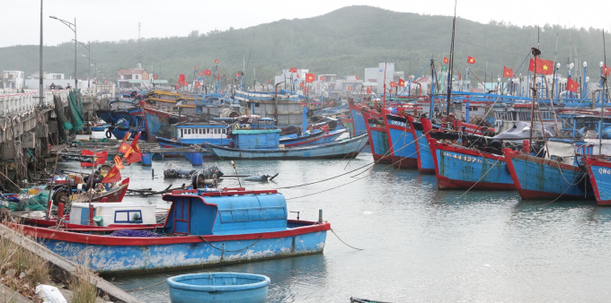Tàu cá nằm bờ ở cảng Sa Huỳnh, Quảng Ngãi