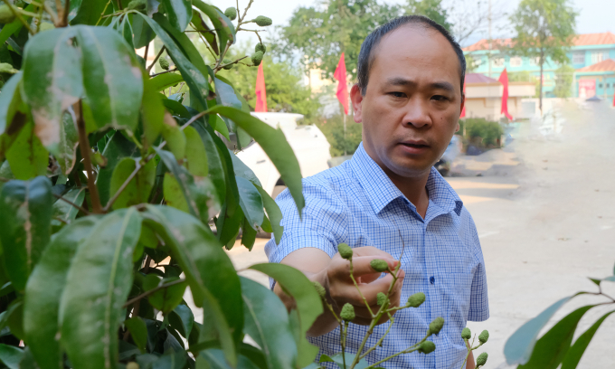 Ông Nguyễn Thế Thi, Phó Chủ tịch UBND huyện Lục Ngạn, Bắc Giang. Ảnh: Bá Thắng.