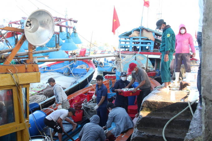 Bảo vệ, tái tạo nguồn lợi thủy sản sẽ giúp cho đời sống của ngư dân được nâng cao và ổn định. Ảnh: L.K. 