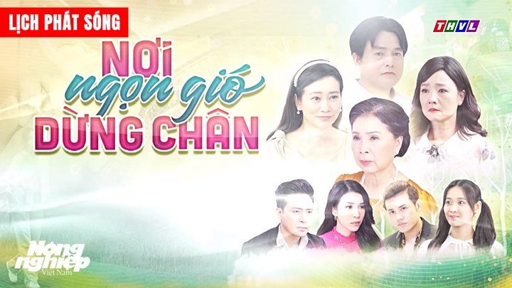 Chi tiết lịch chiếu phim Nơi ngọn gió dừng chân sẽ phát trên kênh THVL1