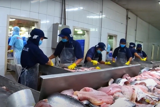 Vietnamese pangasius is a commodity with many competitive advantages in the Mexico market.