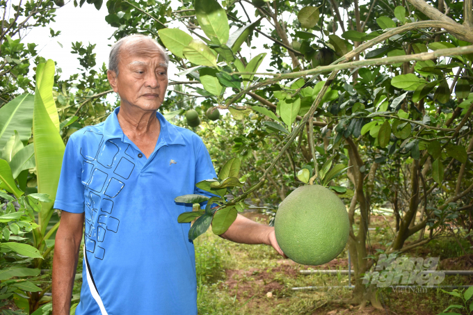 Local authorities and businesses need to promptly update information on import market requirements to communicate with farmers. Photo: Minh Dam. 