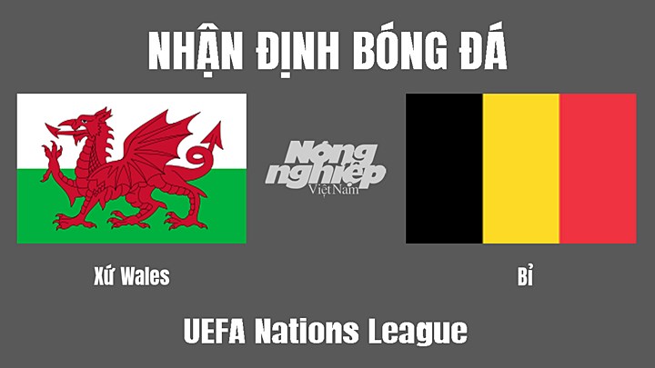 Nhận định bóng đá Vô địch Châu Âu (UEFA Nations League) giữa Xứ Wales vs Bỉ ngày 12/6/2022