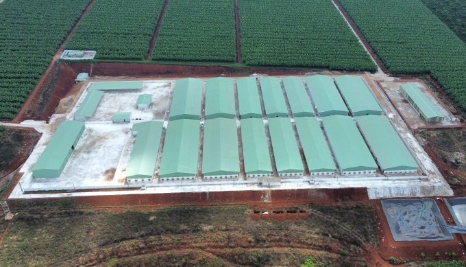 Toàn cảnh trang trại heo xây dựng trái phép tại huyện Đăk Đoa, tỉnh Gia Lai.