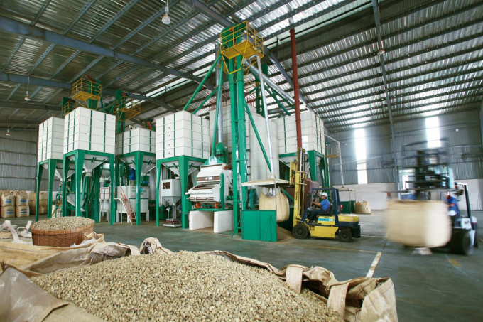 K COFFEE and its specialized processing.