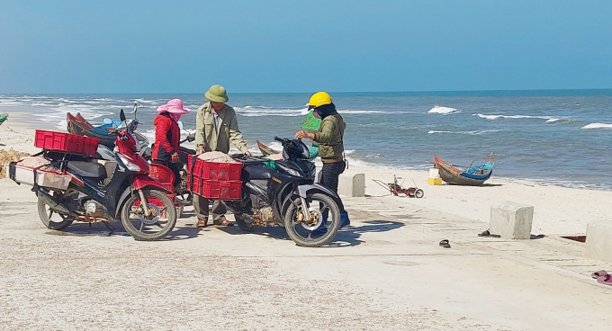 Traders go to the beach to buy seafood, which is very convenient for fishermen. Photo: T.P.