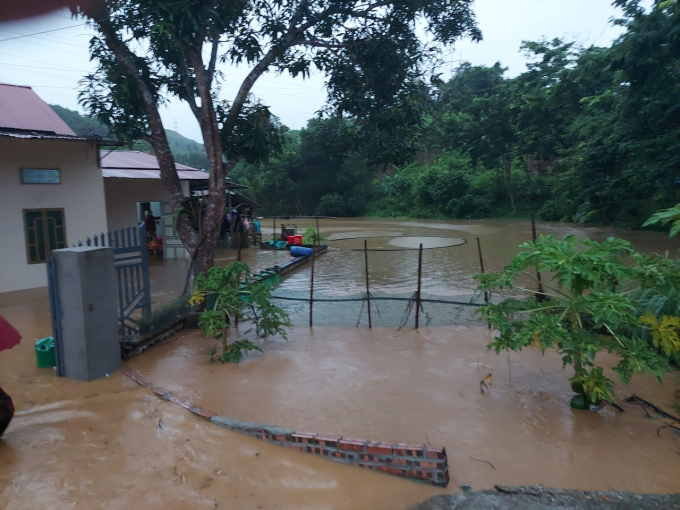 Tường rào một hộ dân ở huyện Bảo Yên chìm trong nước trong đợt mưa lớn kéo dài từ đêm 13/6. Ảnh: T.L.