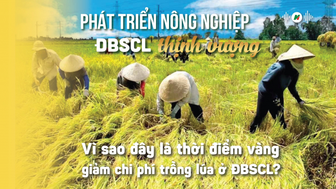 Phát triển nông nghiệp ĐBSCL: Dần thay đổi cách trồng lúa theo hướng mới.