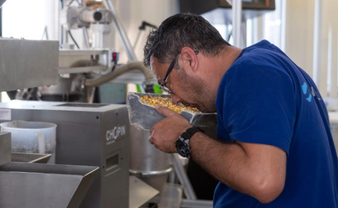 The calibre of the cereals is assessed by a quality control officer at one of the operators. Photo: Alexandra Radu/Al Jazeera