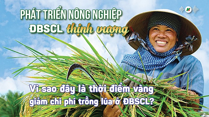 Phát triển nông nghiệp ĐBSCL: Vì sao nhiều quy trình chưa thể triển khai sâu rộng trong dân?