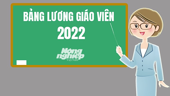 Chi tiết bảng lương giáo viên mới và đầy đủ nhất năm 2022