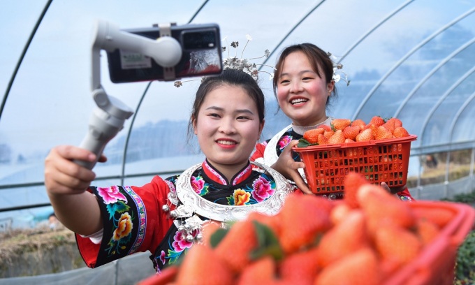Two college students returning to their native village livestream a strawberry sale in Songtao Miao autonomous county, in Southwest China's Guizhou Province, on August 23, 2021. Photo: VCG