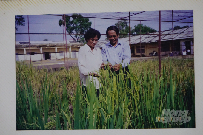 Ông Tạ Minh Sơn và đồng nghiệp đang nghiên cứu lúa. Ảnh: Tư liệu gia đình.
