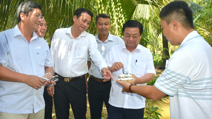 Bộ trưởng Lê Minh Hoan tham quan vườn dừa sáp cấy phôi tại xã Lương Hoà, huyện Châu Thành, tỉnh Trà Vinh. Ảnh: Minh Đảm.