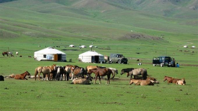 Mongolia has great potential for developing livestock and dairy products.