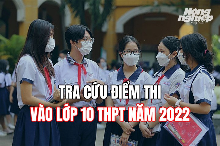 Tra cứu điểm thi vào lớp 10 năm 2022 tại 63 tình thành