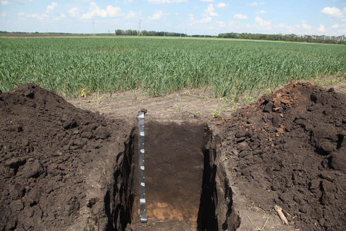 Đất chernozem hay còn gọi là hoàng thổ, hoặc siêu đất, vốn rất giàu chất dinh dưỡng ở Ukraine đang bị ảnh hưởng xấu bởi chiến tranh. Ảnh: SOIL MUSEUM/SOIL EDUCATION CENTER/UNIVERSITY OF AGRICULTURE IN KRAKÓW