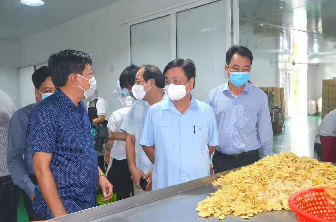 Ông Lữ Quang Ngời, Chủ tịch UBND tỉnh Vĩnh Long (phải) và Bộ trưởng Lê Minh Hoan (giữa) thăm nhà máy chế biến nông sản Đông Phát Food (huyện Bình Tân). Ảnh: Minh Đảm.