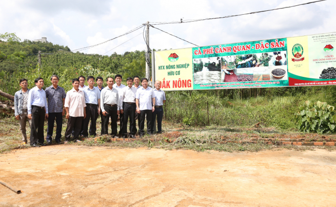 Deputy Minister Le Quoc Doanh and the delegation taking business photos at the Dak Nong Organic Agriculture Cooperative. Photo: Quang Yen.