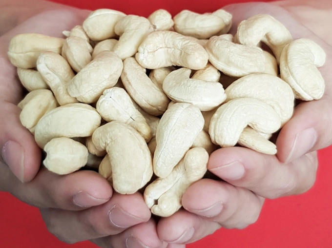 Cashew kernel exports are facing many difficulties.
