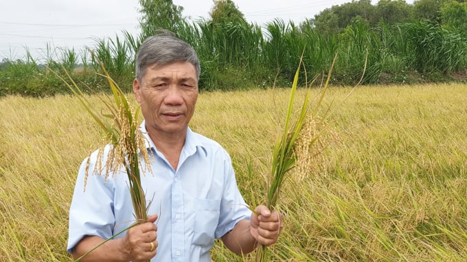 Changing the mindset on food security is a strategic breakthrough in the Mekong Delta Development Plan. Photo: Kim Anh.