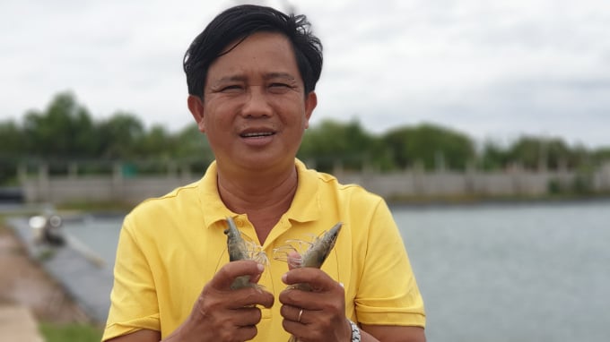 The Mekong Delta plan identifies that agricultural development in the direction of fisheries, fruits, and rice will be suitable for the market. Photo: Kim Anh.