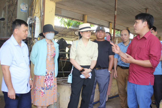 In the coming time, the National Center for Agricultural Extension will continue to build models and provide training on VietGAHP livestock production, biosecurity, disease safety, biosecurity, organic orientation and linkage. Photo: Trung Quan.