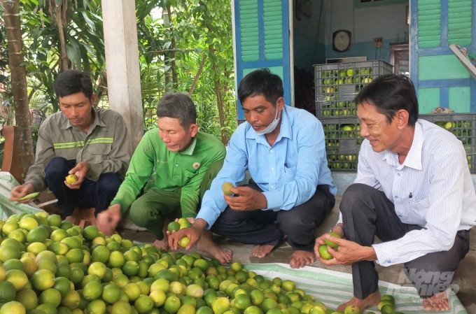 Hau Giang calls for investment in establishing an area of specialized fruit trees, focusing on coordinating with the processing and packaging facilities for exported fruits. Photo: Trung Chanh.