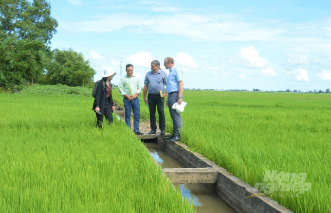 Dự án VnSAT hỗ trợ kỹ thuật sản xuất lúa, đầu tư xây dựng cơ sở hạ tầng cho hợp tác xã, hạ tầng công như giao thông nông thôn, cầu cống, kênh mương nội đồng, đê bao… đã góp phần làm thay đổi diện mạo nông thôn của tỉnh. Ảnh: Trung Chánh.