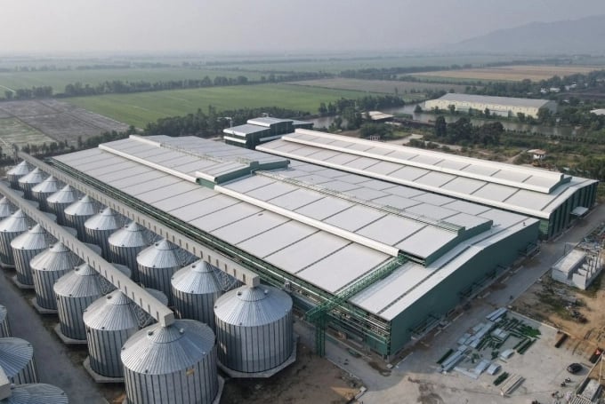 Hanh Phuc is the rice factory with the largest scale in Asia, with a capacity of 240,000 tons/crop.