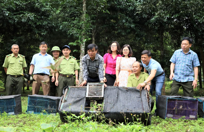 Vườn quốc gia Cúc Phương phối hợp với Trung tâm Cứu hộ Động vật hoang dã Hà Nội tổ chức tái thả động vật hoang dã vào rừng nguyên sinh sinh Cúc Phương.