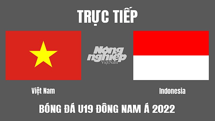 Trực tiếp bóng đá U19 Đông Nam Á 2022 giữa Việt Nam vs Indonesia hôm nay 2/7/2022