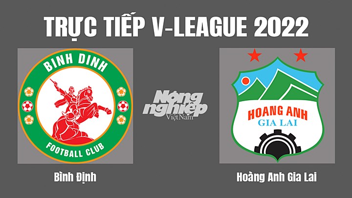 Trực tiếp bóng đá V-League 2022 giữa Bình Định vs HAGL hôm nay 2/7/2022