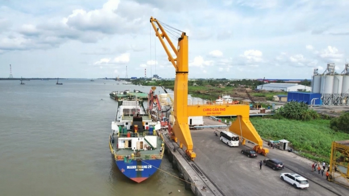 The number of logistics enterprises in the Mekong Delta only accounts for approximately 4.39% of the number of logistics enterprises in Vietnam. Photo: Kim Anh.