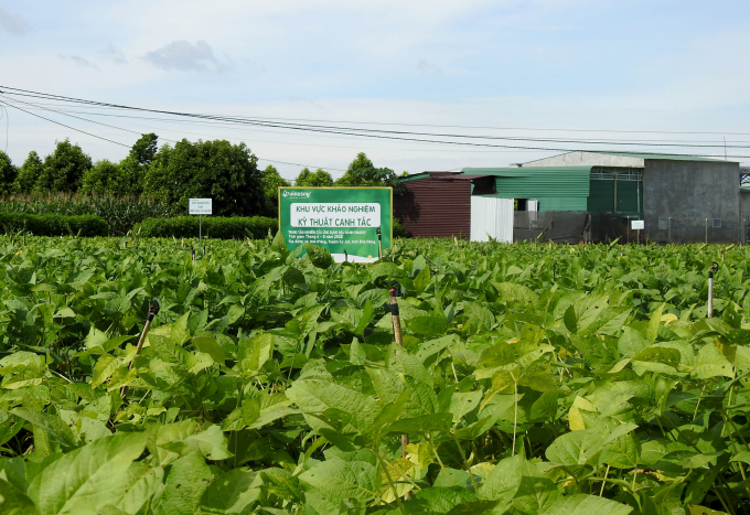 The Central Highlands Soybean Testing Station will be a place for research, selection, and creation new breeds for Vinasoy's raw material areas.