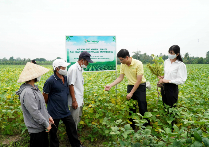 A Vinasoy's soybean material area in Vinh Long.