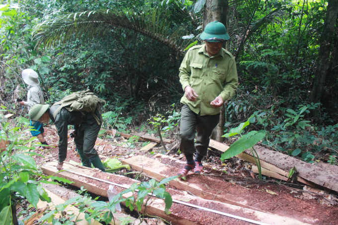 Lực lượng bảo vệ rừng Ban Quản lý RPH Quảng Ninh có tại hiện trường. Ảnh: X.V