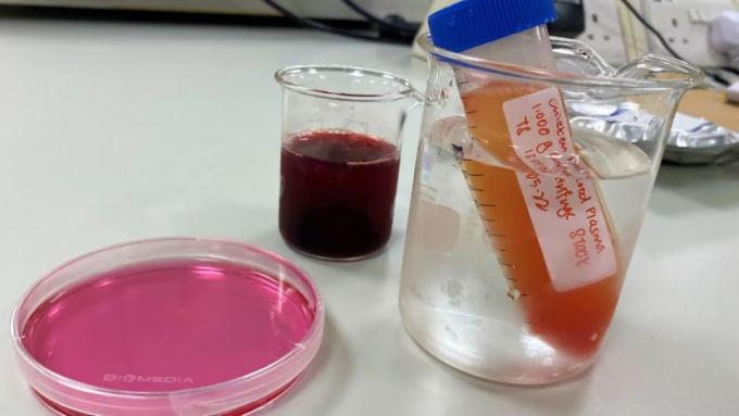 The NTU-developed culture medium from the successful conversion of biological waste from Leong Hup Singapore’s poultry farming, which would serve as a cost-effective alternative to commercial mediums. Photo: NTU Singapore