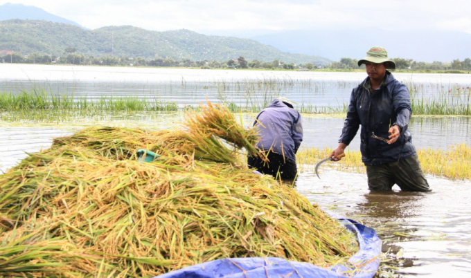 Mưa lũ khiến Đắk Lắk thiệt hại gần 500 tỷ đồng trong 18 tháng qua. Ảnh: Quang Yên.