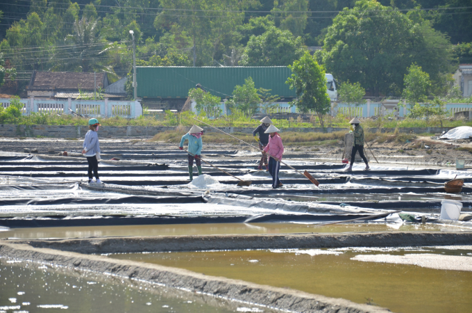 Sa Huynh salt field has an area of ​​​​nearly 100 hectares, home to 2,400 salt farmers. Photo: Le Khanh.