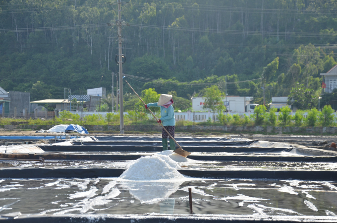 Women working in the salt fields are a common image in in Sa Huynh (Duc Pho Town, Quang Ngai). Photo: Le Khanh.