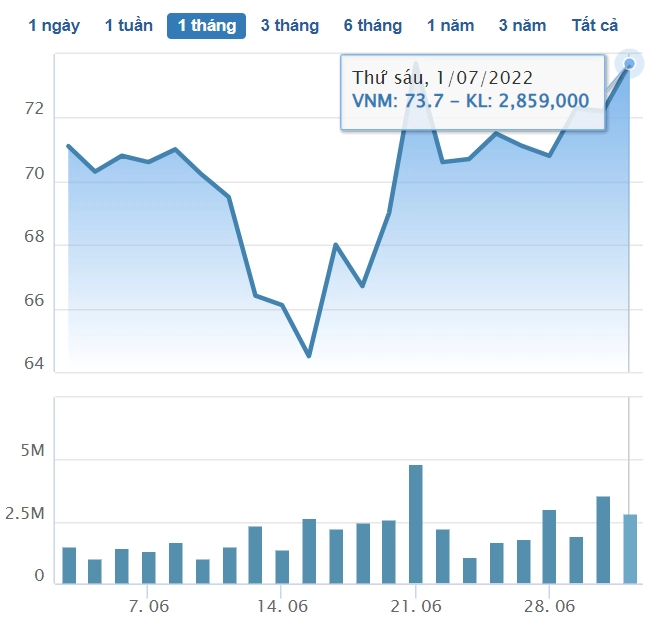 The trading volatility of VNM shares.