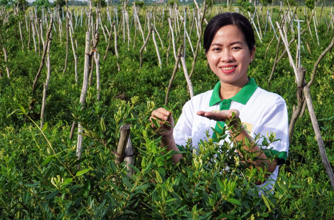 Tu spent more than 10 years researching, learning and developing her honeysuckle brand. Photo: Kim Anh.