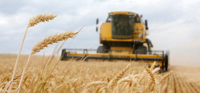 International wheat prices fell by 5.7 percent in June.